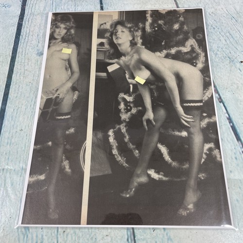Calzetteria sexy lady - , gambe